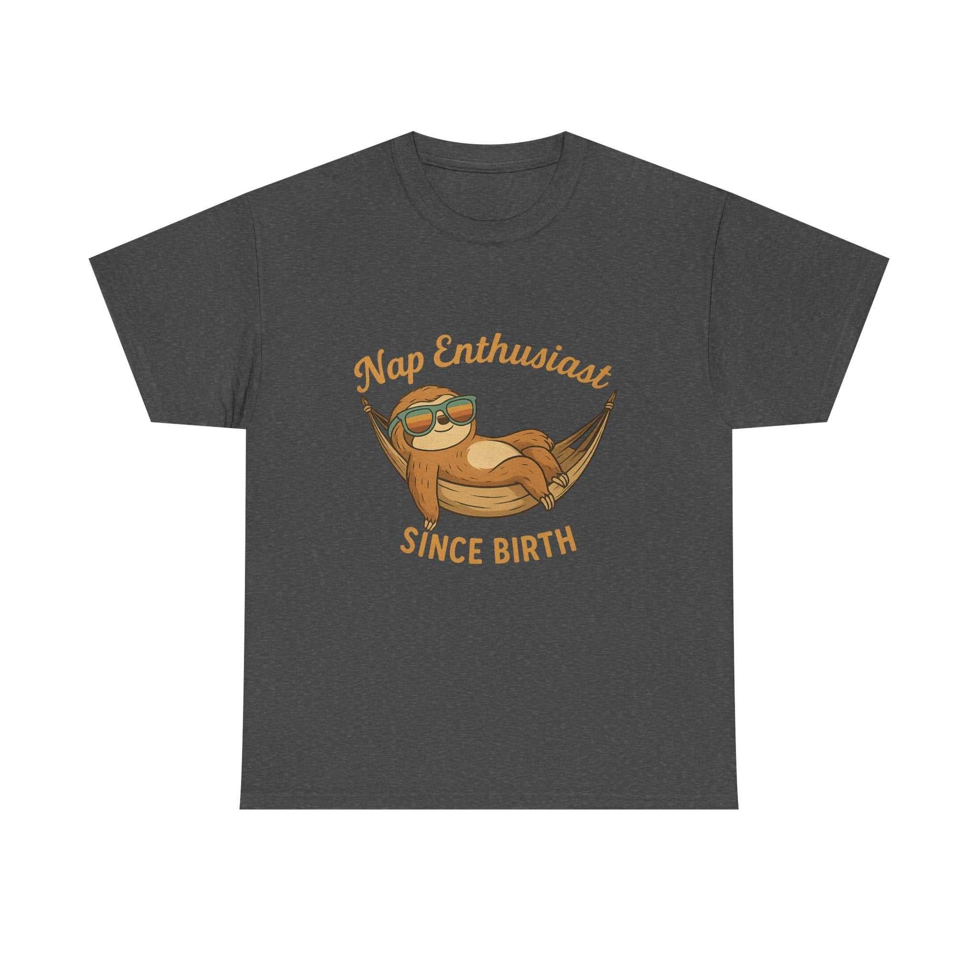 Nap Enthusiast Sloth T-Shirt – Funny Vintage Animal Tee