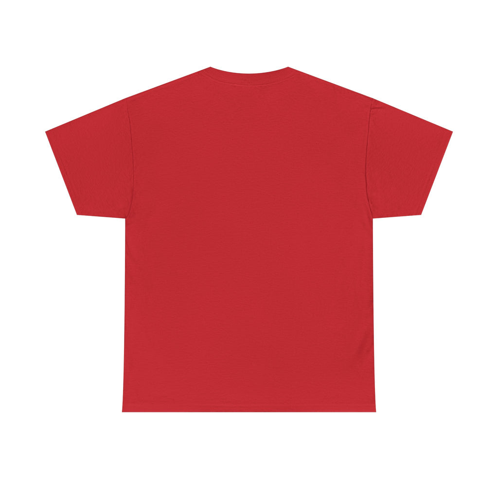 Funny Cleaning Shirt – I Came. I Saw. I Cleaned. T-Shirt Gift