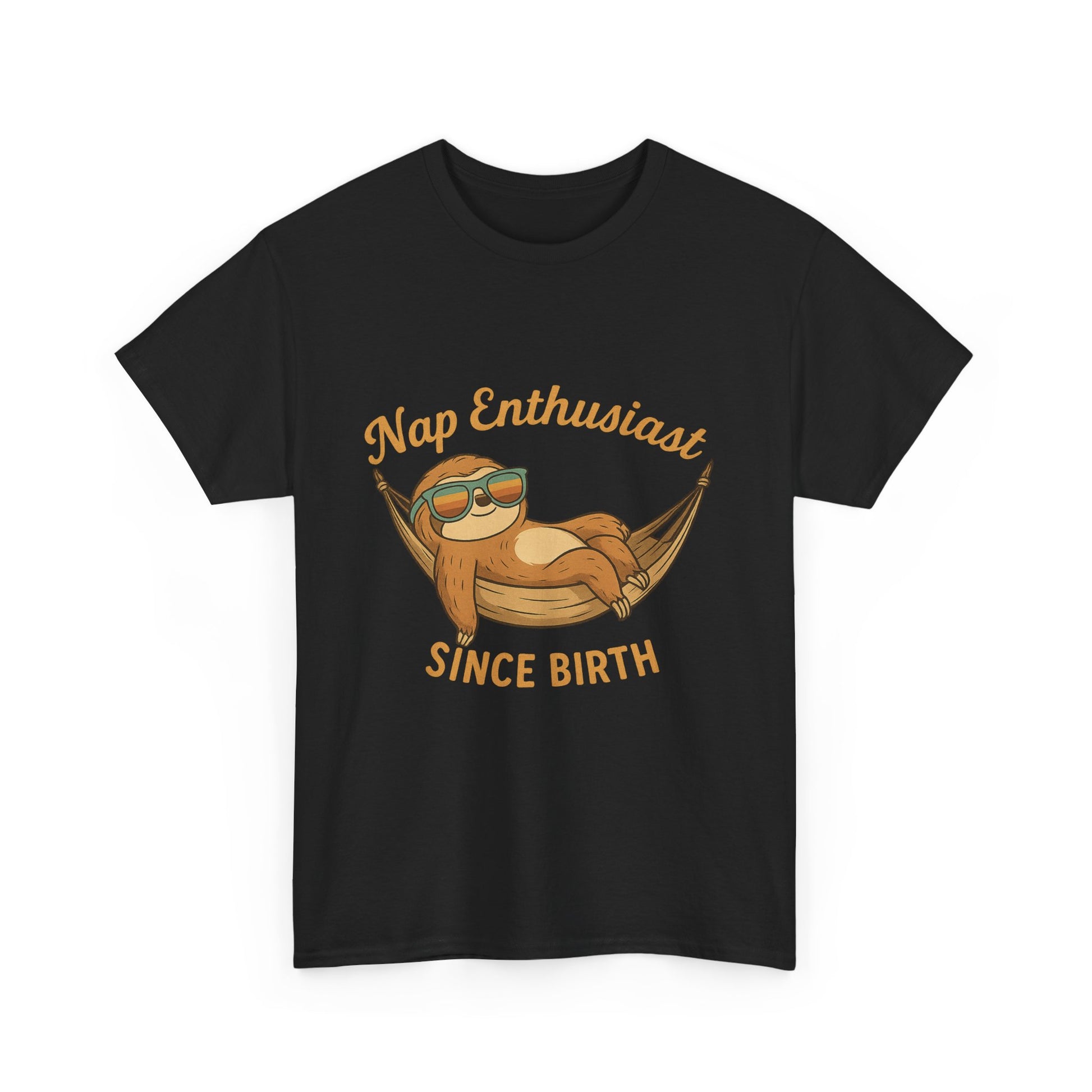 Nap Enthusiast Sloth T-Shirt – Funny Vintage Animal Tee