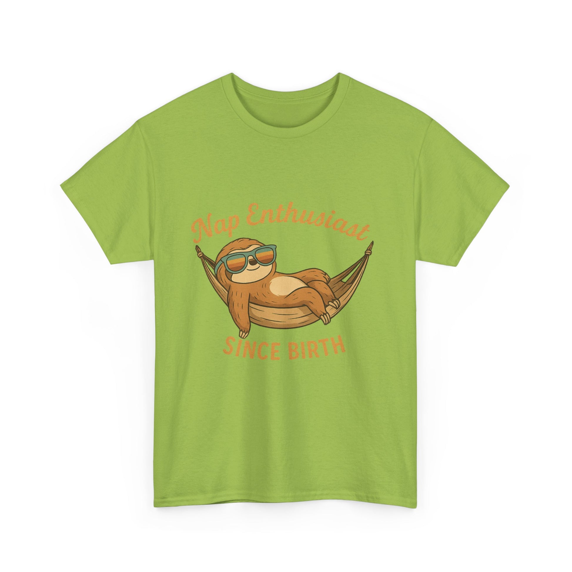 Nap Enthusiast Sloth T-Shirt – Funny Vintage Animal Tee