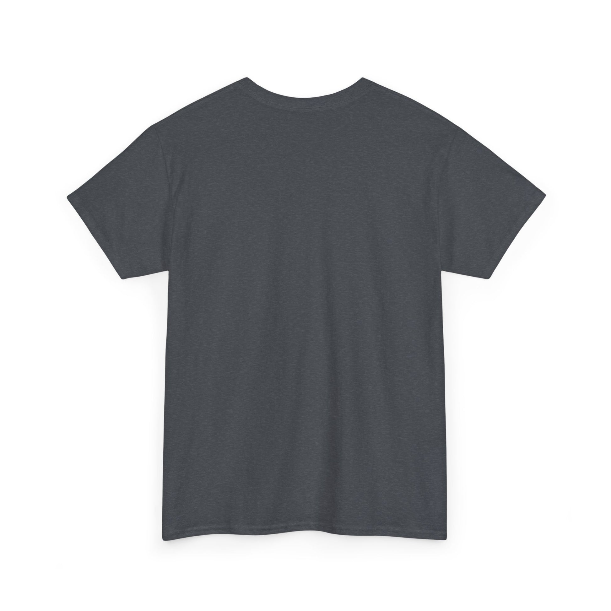 Funny Cleaning Shirt – I Came. I Saw. I Cleaned. T-Shirt Gift