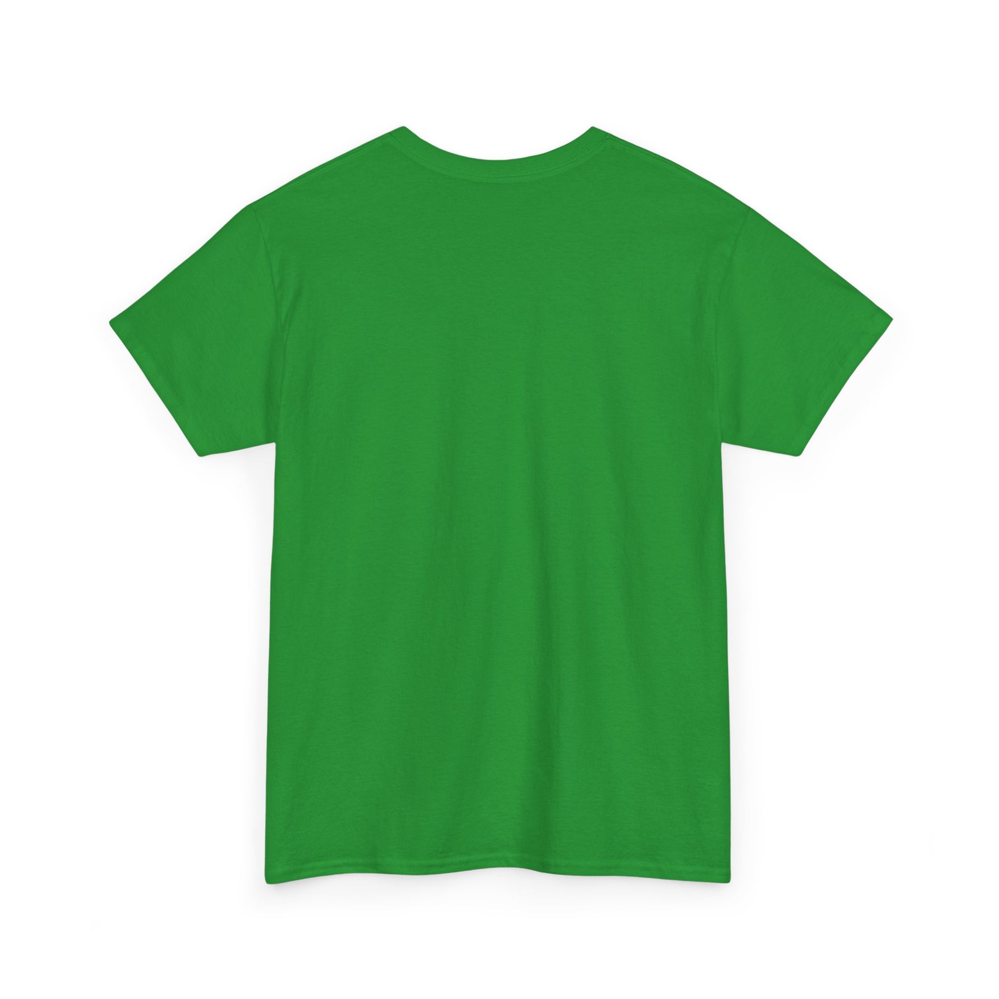 Funny Cleaning Shirt – I Came. I Saw. I Cleaned. T-Shirt Gift