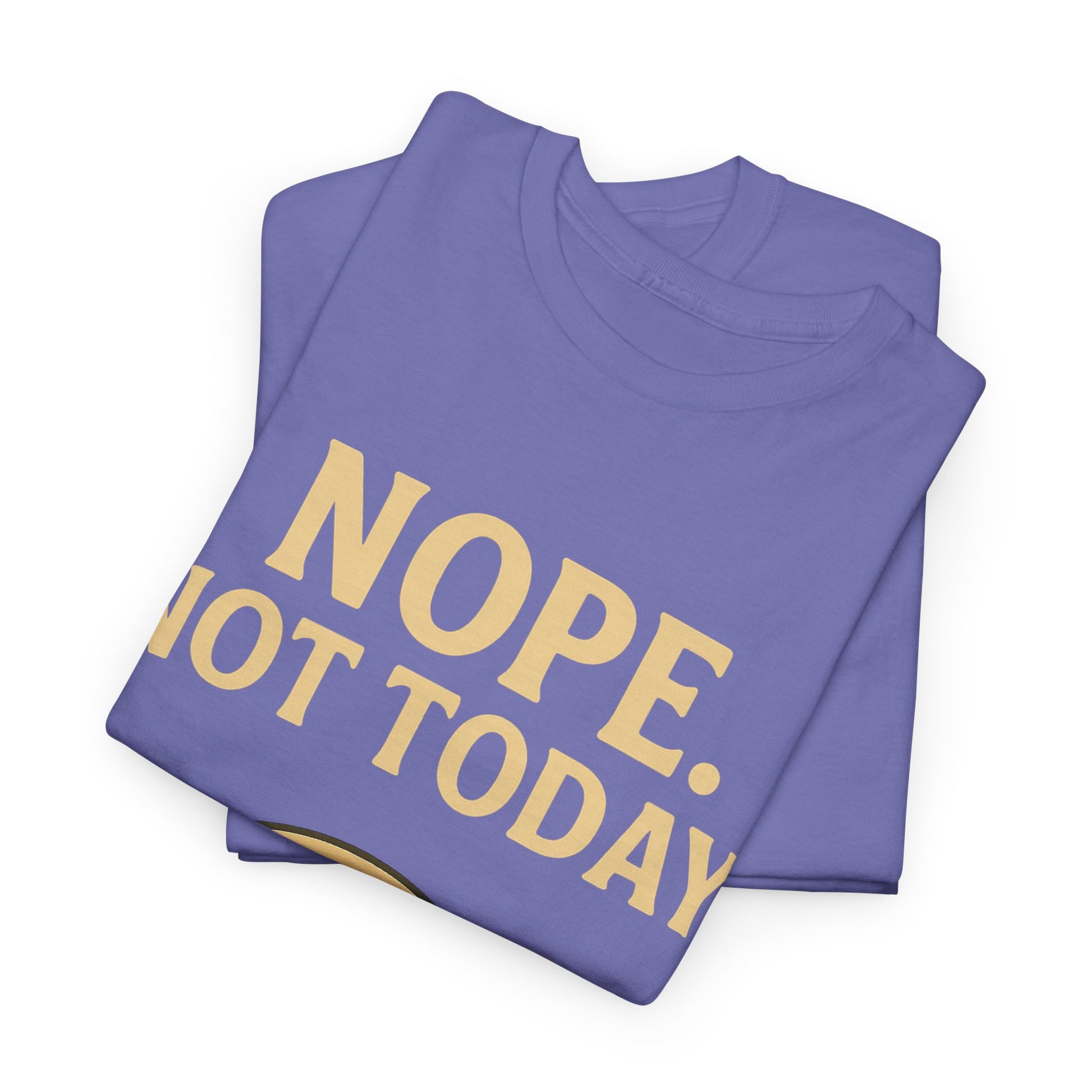 Lazy Cat "Nope. Not Today." Funny Graphic T-Shirt