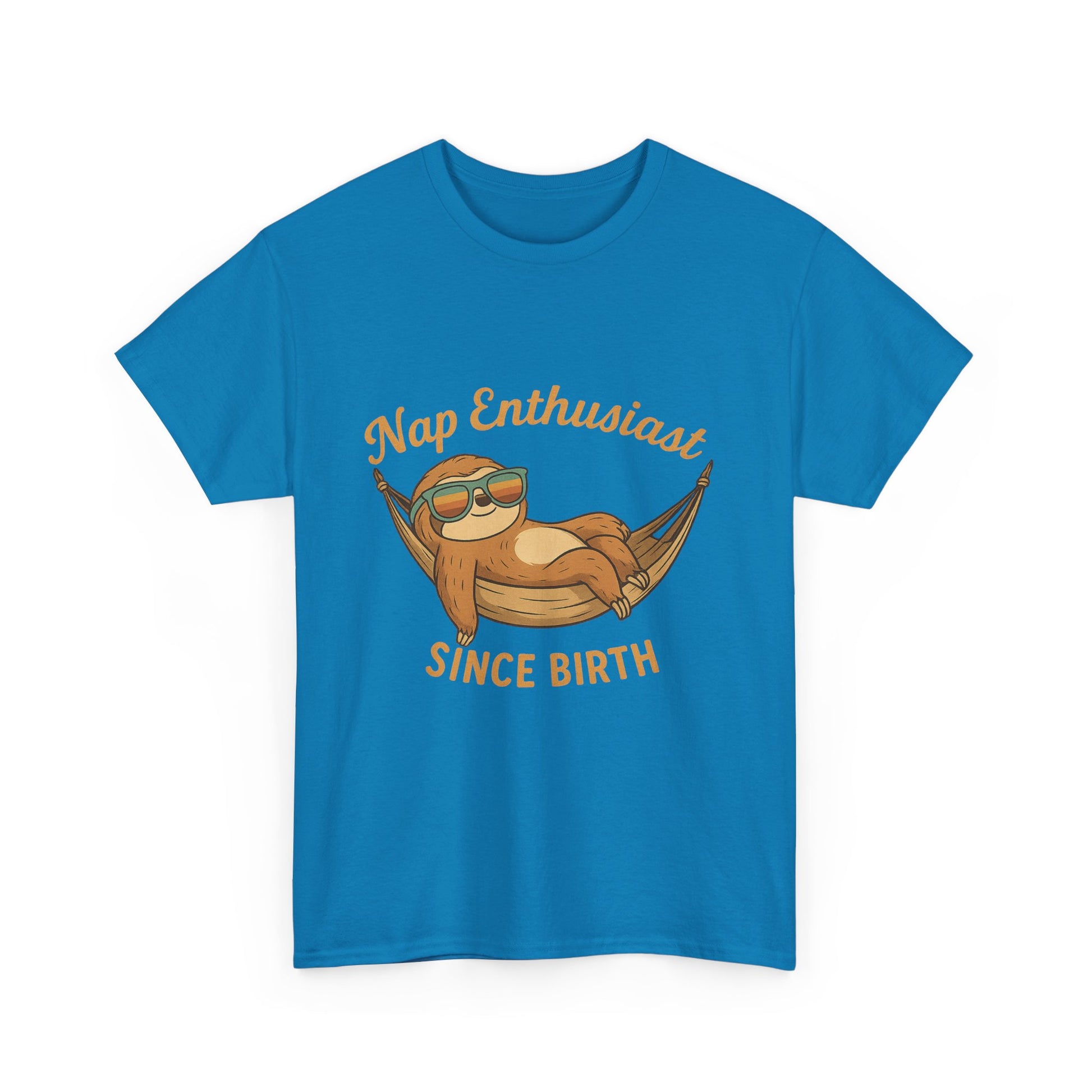 Nap Enthusiast Sloth T-Shirt – Funny Vintage Animal Tee
