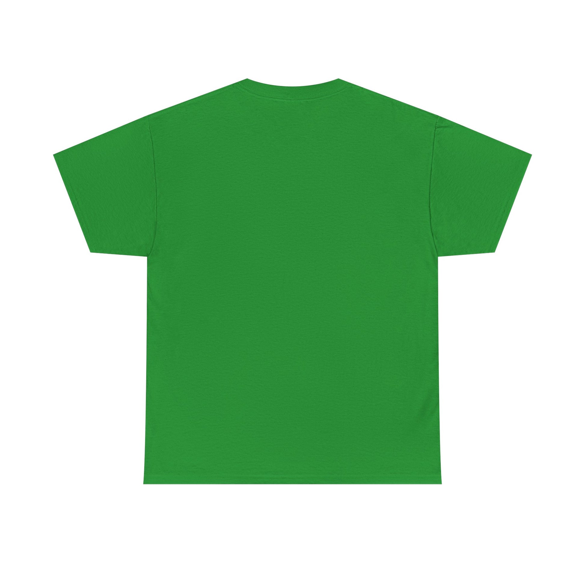 Funny Cleaning Shirt – I Came. I Saw. I Cleaned. T-Shirt Gift