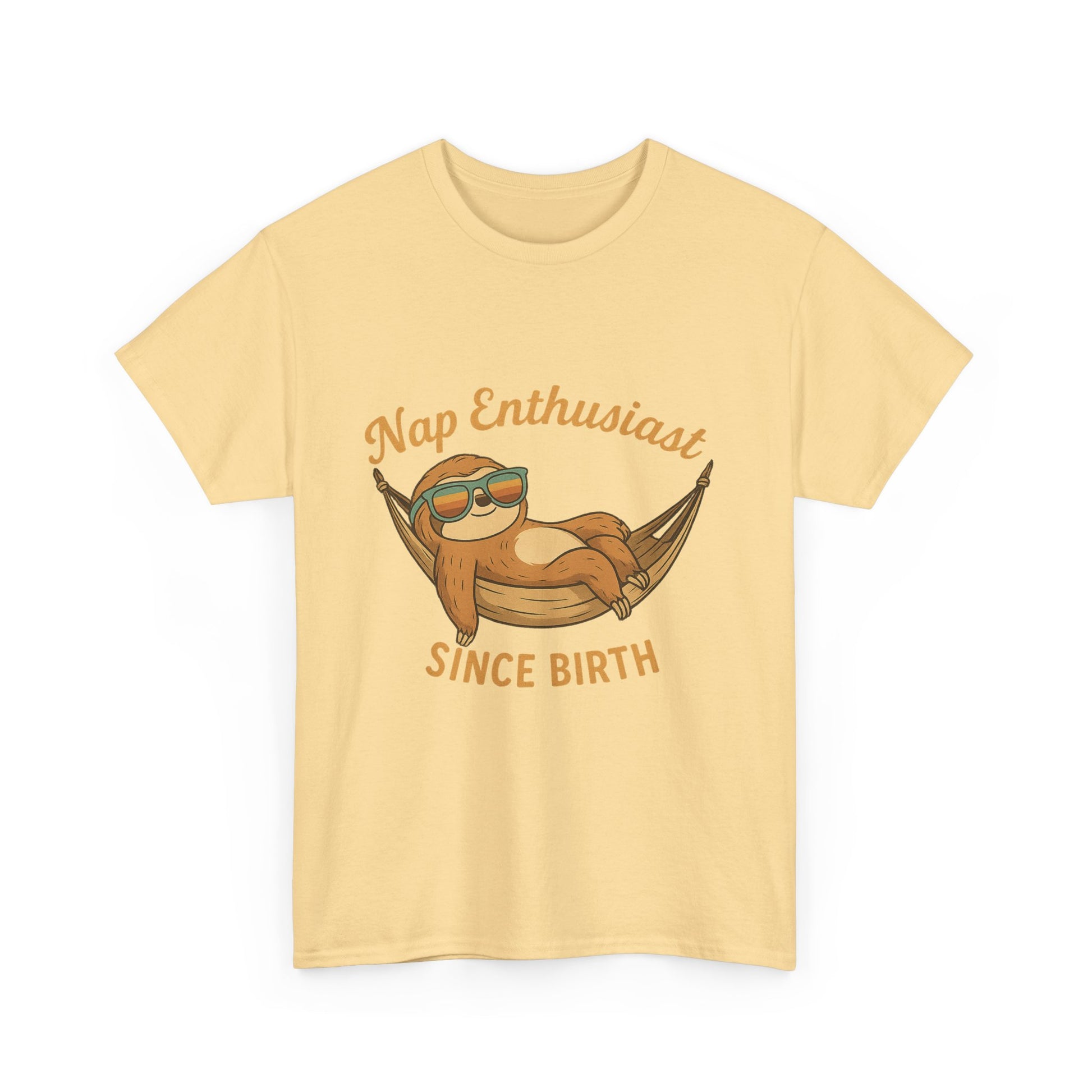 Nap Enthusiast Sloth T-Shirt – Funny Vintage Animal Tee