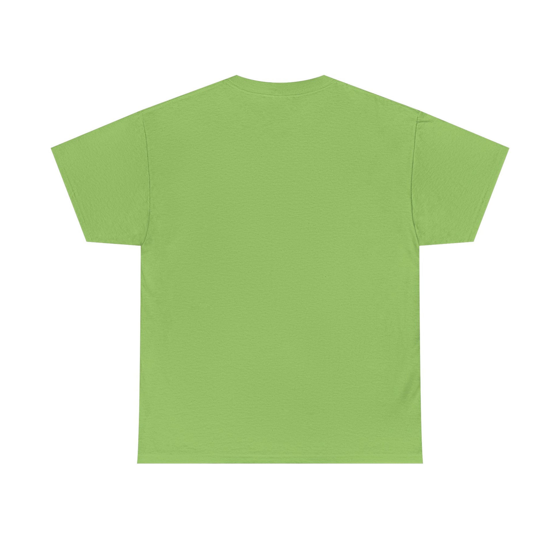 Funny Cleaning Shirt – I Came. I Saw. I Cleaned. T-Shirt Gift