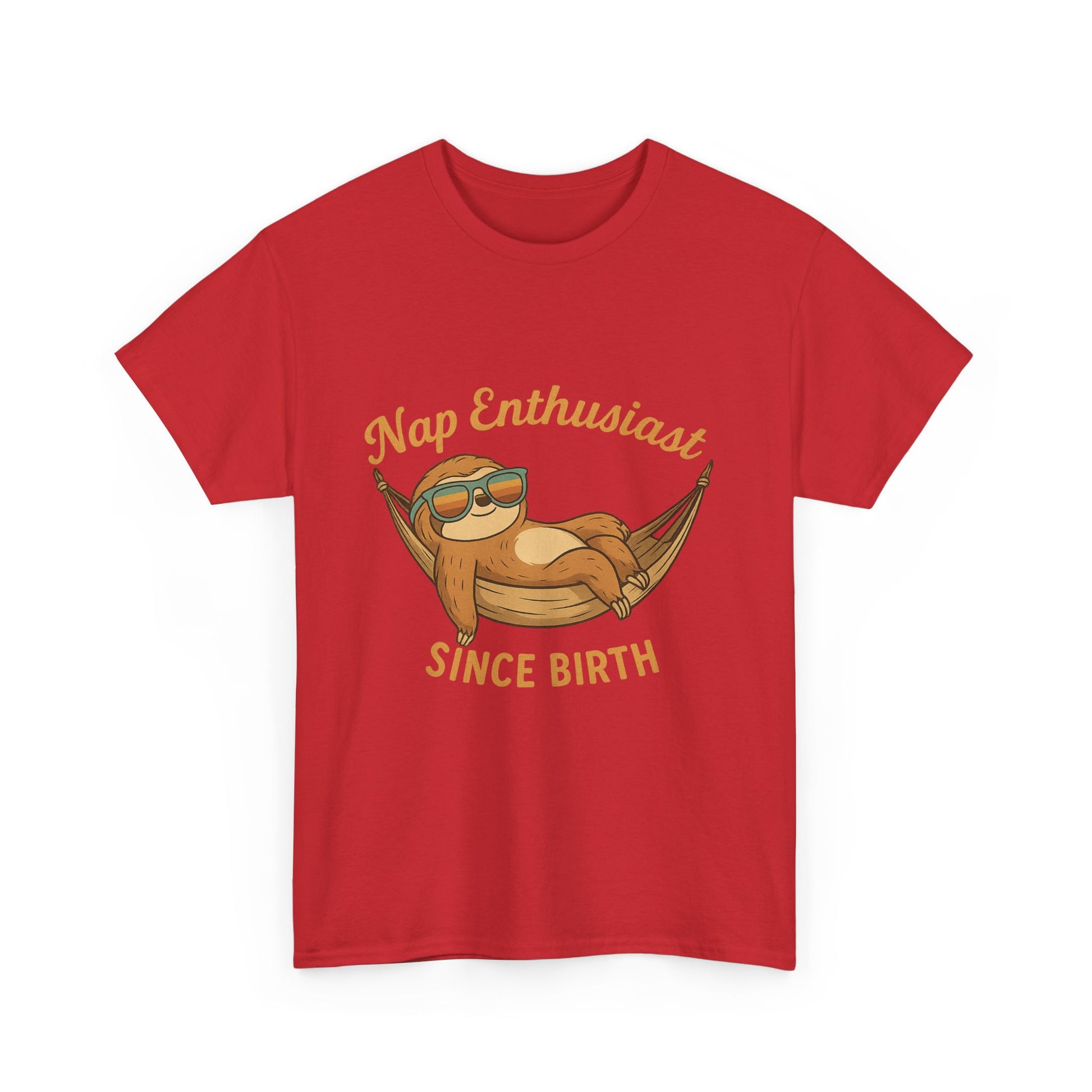Nap Enthusiast Sloth T-Shirt – Funny Vintage Animal Tee